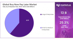 Buy Now Pay Later Market Share