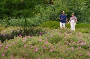 Man and woman take a walk through a vineyard.