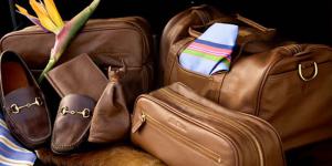 Global Luggage and Leather Goods Market