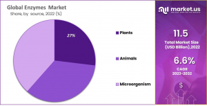 Enzymes Market Share.png