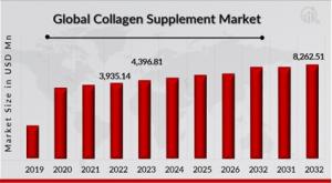 Collagen Supplement Market