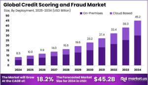 Credit Scoring and Fraud Market