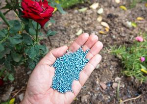 Global Agricultural Colorant Market 2025