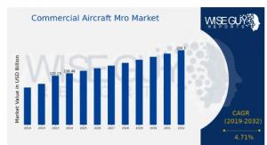 Commercial Aircraft Mro Market