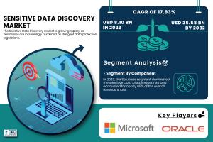 Sensitive Data Discovery Market