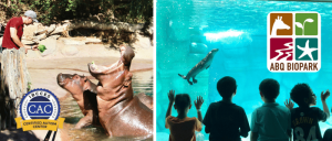 A zookeeper feeds hippos on the left, while children watch a seal swim in an aquarium on the right, with logos for CAC and ABQ BioPark.