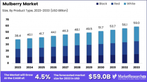 Mulberry Market Growth Analysis