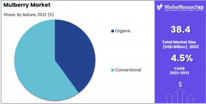 Mulberry Market Nature Analysis