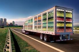 Perishable Goods Transportation Market