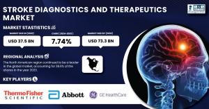 Stroke Diagnostics and Therapeutics Market