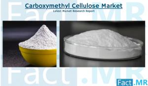 Carboxymethyl Cellulose Industry