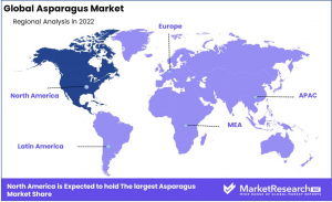 Asparagus-Market-3