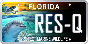 'Protect Marine Wildlife' License Plate with dolphin, manatee and sea bird in ocean sunset