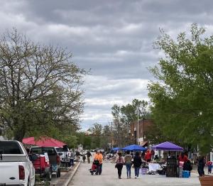 This image shows people milling around the main street in Elloree, South Carolina at the 25th annual Trash to Treasures event.