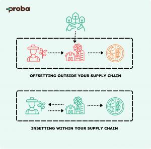 Graphic showing the difference between offsetting and insetting in the agri-food sector.