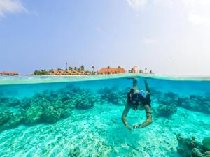 Snorkeling at Cinnamon Velifushi Maldives