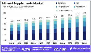 Mineral Supplements Market Size