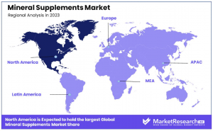 Mineral Supplements Market Region