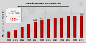 Musical Instrument Insurance Market growth