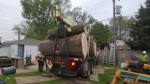 Tree Removal in Berwyn