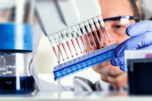 Bioanalytical Testing Services Market 2025