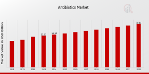 Antibiotics Market Overview 2025