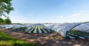 Agricultura Films Markets Forecast