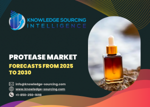 Global Protease Market