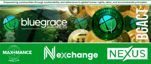 BlueGrace Energy Bolivia - Top Banner BGACT