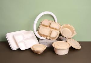 Starch-Based Packaging Market