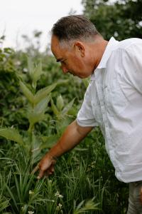 Ecological Consulting by Jack Pizzo