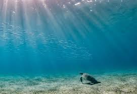 Underwater Lighting