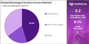 Bandage Contact Lenses Market Size.jpg