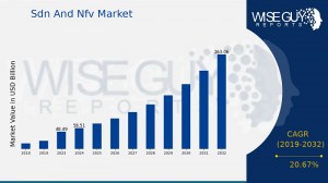 Sdn And Nfv Market Size