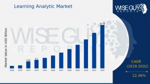 Learning Analytic Market Size