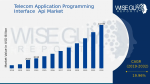 Telecom Application Programming Interface Api Market Size