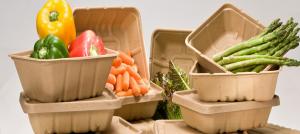 Plant Based Food Packaging Market