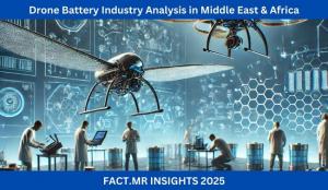 Drone Battery Industry Analysis in Middle East & Africa