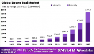 Drone Taxi Market Size