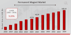 Permanent Magnet Market overview