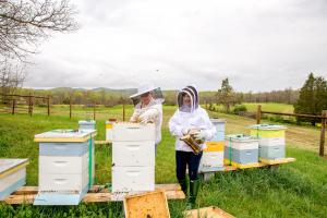 Apiary overlooking our field of wildflowers providing forage for pollinators