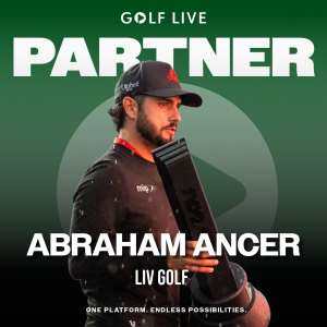 Professional Golfer