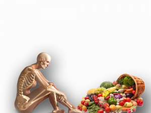 Human Nutrition