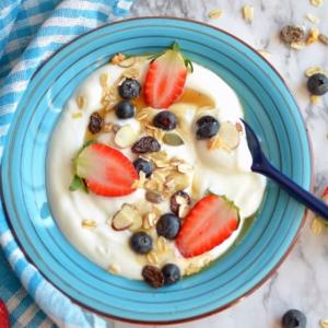 Dry Yogurt Market