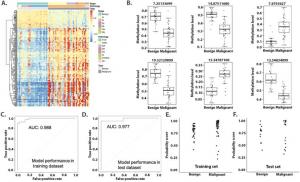 Differential methylation in the tissue cohort