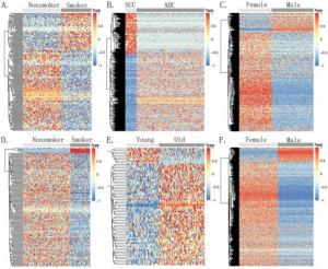 The relationships between methylation alterations and clinical characteristics