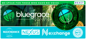 BlueGrace Energy Bolivia