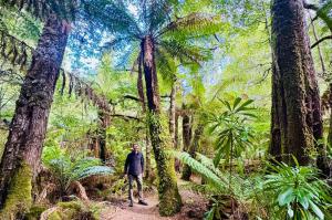 Race Director Chris Dixon setting The Legend Course in tropical forest and ferns