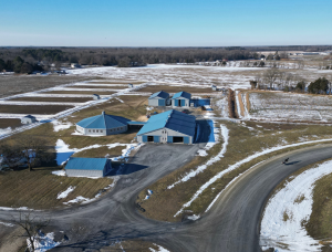 Picture of FreeRaceHorse.com building and horse on track