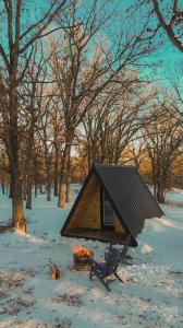 A Frame exterior at Big Rock Creek